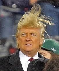 donald trump photo: Donald Trump hair nest DonaldTrumphairnest_zpsd0879371.jpg