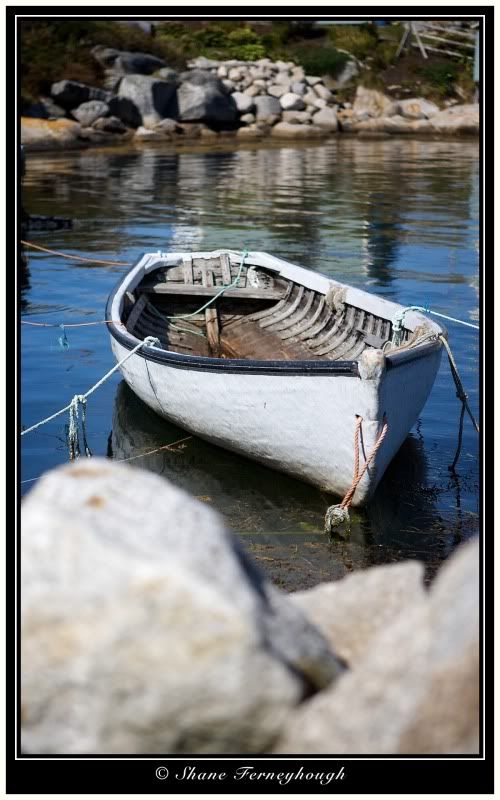 IMAGE: http://i168.photobucket.com/albums/u198/shanef1/08090382-Version2.jpg