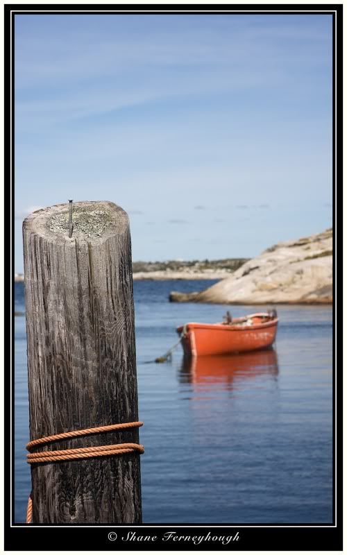 IMAGE: http://i168.photobucket.com/albums/u198/shanef1/08090401-Version2.jpg