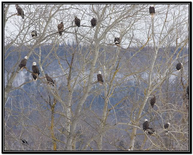 IMAGE: http://i168.photobucket.com/albums/u198/shanef1/12092638-Version2-1.jpg