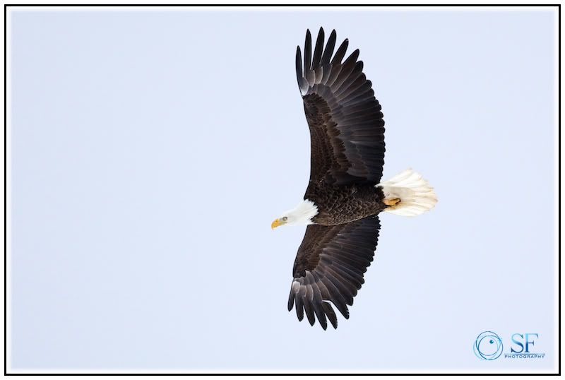 IMAGE: http://i168.photobucket.com/albums/u198/shanef1/IMG_0131-Version2.jpg