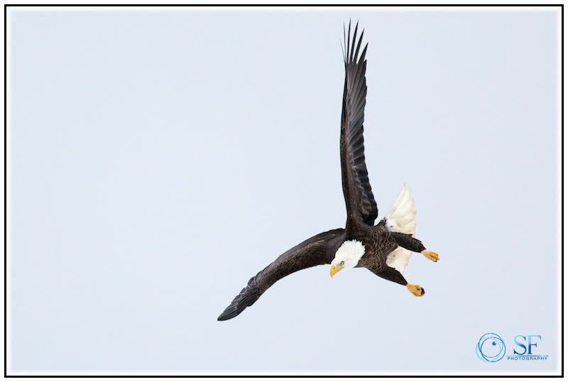 IMAGE: http://i168.photobucket.com/albums/u198/shanef1/IMG_0145-Version2.jpg