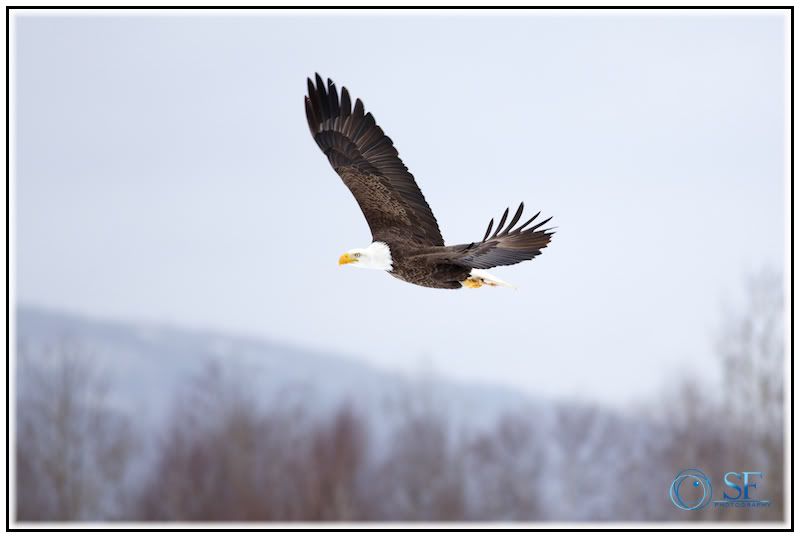 IMAGE: http://i168.photobucket.com/albums/u198/shanef1/IMG_0185-Version2.jpg