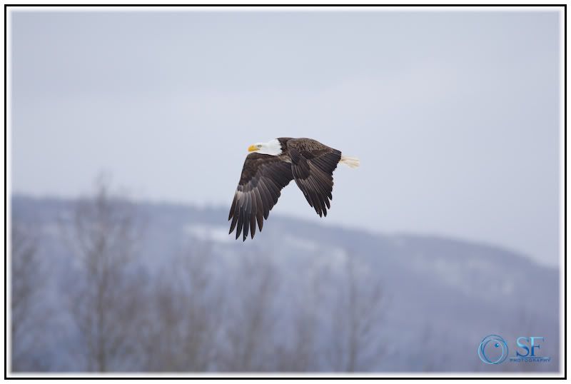 IMAGE: http://i168.photobucket.com/albums/u198/shanef1/IMG_0188-Version2.jpg