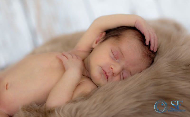 IMAGE: http://i168.photobucket.com/albums/u198/shanef1/IMG_0432-2.jpg