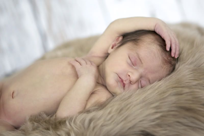 IMAGE: http://i168.photobucket.com/albums/u198/shanef1/IMG_0432-Version2.jpg