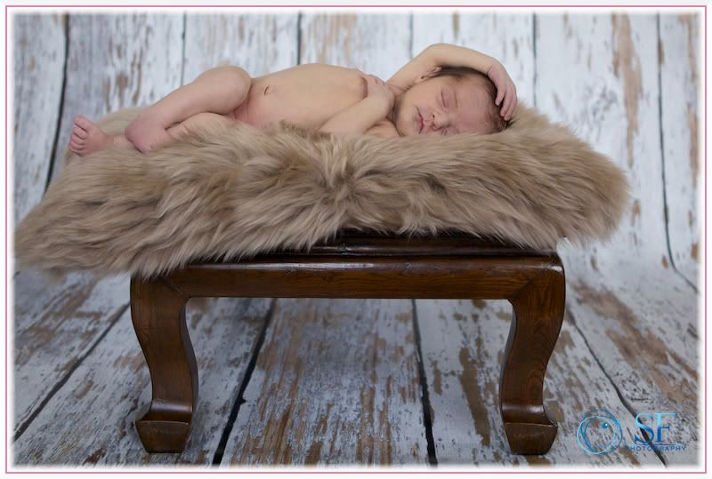 IMAGE: http://i168.photobucket.com/albums/u198/shanef1/IMG_0437-Version2.jpg