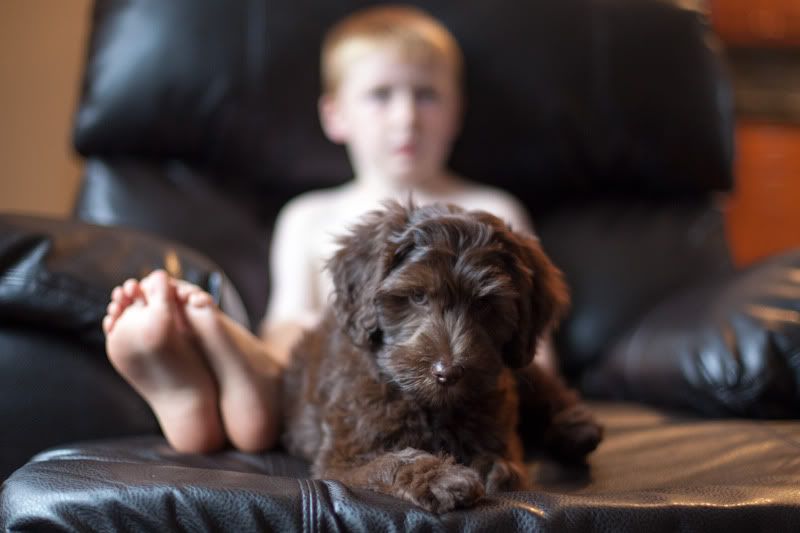 IMAGE: http://i168.photobucket.com/albums/u198/shanef1/IMG_3471.jpg