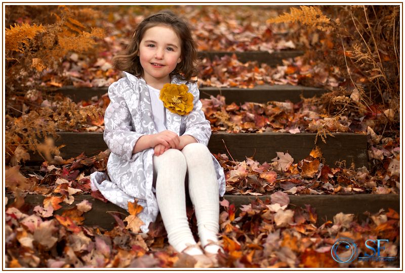 IMAGE: http://i168.photobucket.com/albums/u198/shanef1/IMG_4408-1_zps5fdd0604.jpg