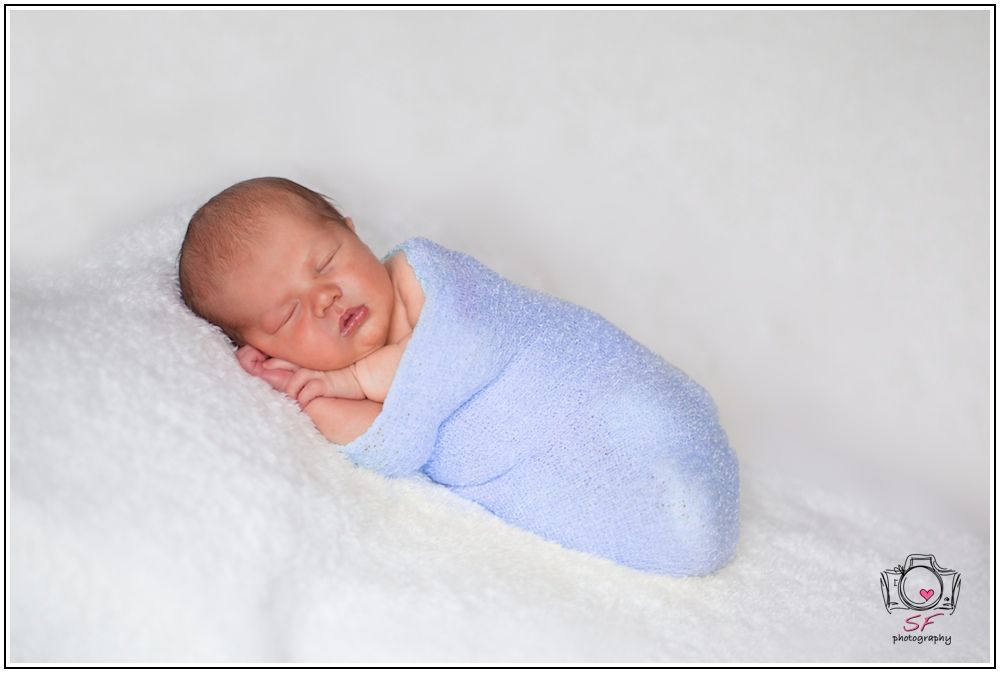 IMAGE: http://i168.photobucket.com/albums/u198/shanef1/IMG_6099-Version2_zpsf6969759.jpg