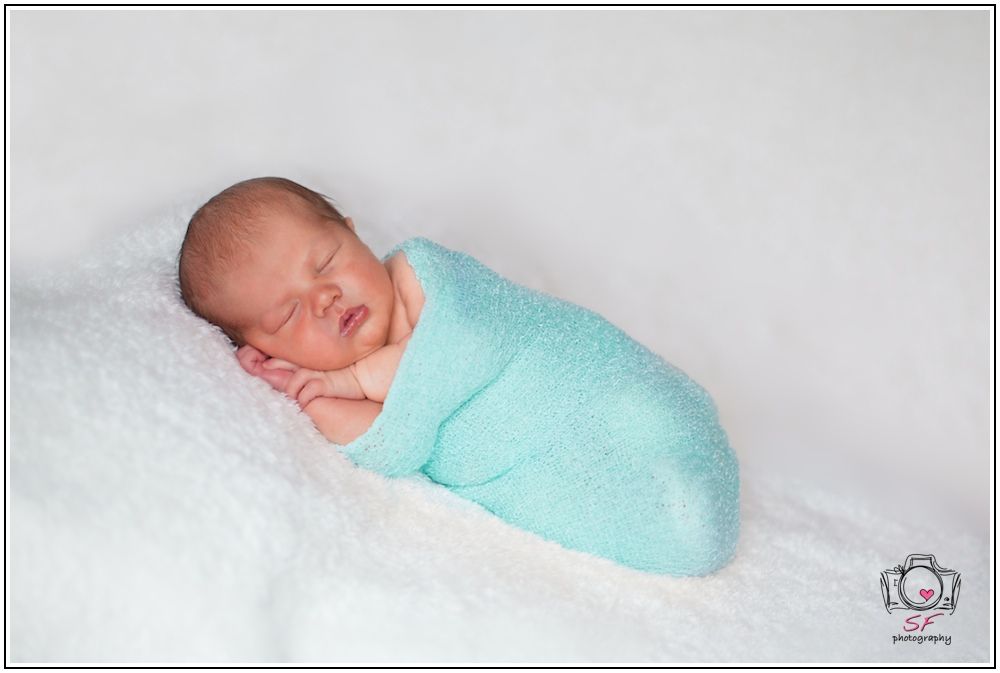 IMAGE: http://i168.photobucket.com/albums/u198/shanef1/IMG_6099-Version7_zps3679ba42.jpg