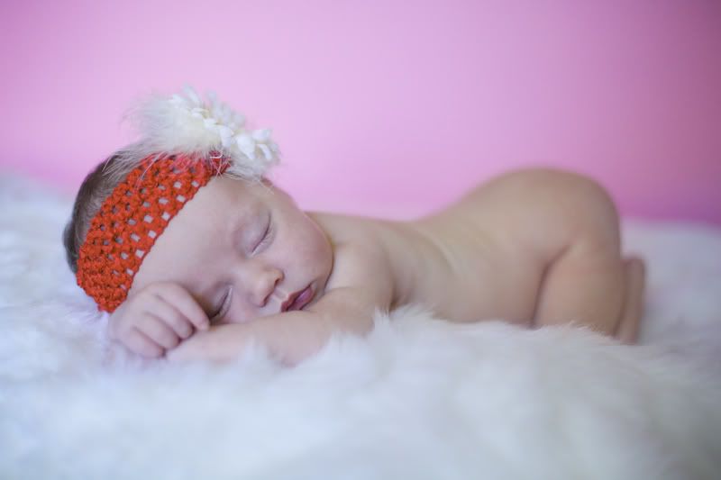 IMAGE: http://i168.photobucket.com/albums/u198/shanef1/IMG_8907.jpg