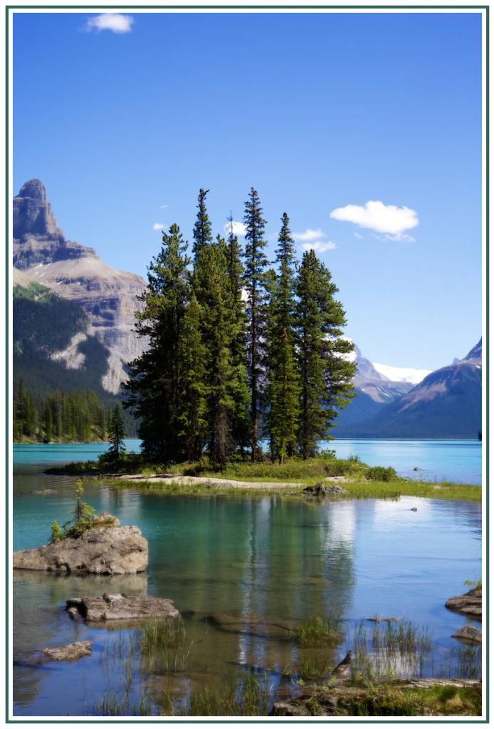 IMAGE: http://i168.photobucket.com/albums/u198/shanef1/IMG_9462-Version2_zpseaa90981.jpg