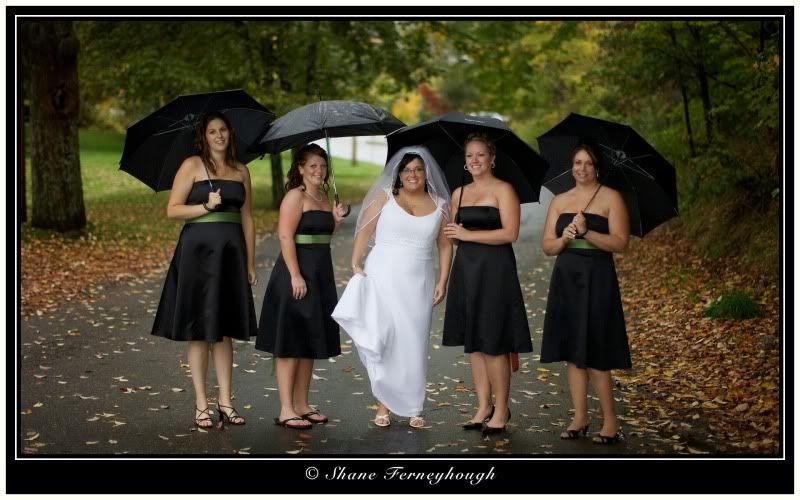 IMAGE: http://i168.photobucket.com/albums/u198/shanef1/SFPhotography122.jpg