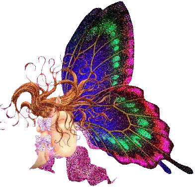 butterfly