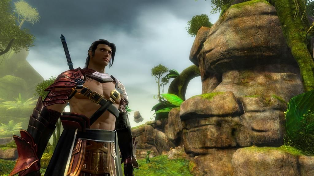 He's been travelling all Tyria searching for someone he failed to protect, and meant the world to him.