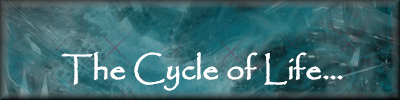 [PokeCommunity.com] Mullac51's Shop of Infinity...
