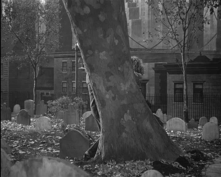 arbol1.jpg