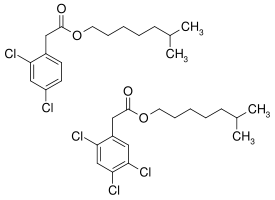 cabrona.png