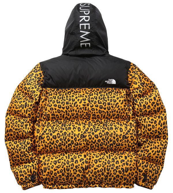 Competitief Percentage voedsel SUPREME X THE NORTH FACE - F/W 2011 COLLECTION • Guillotine