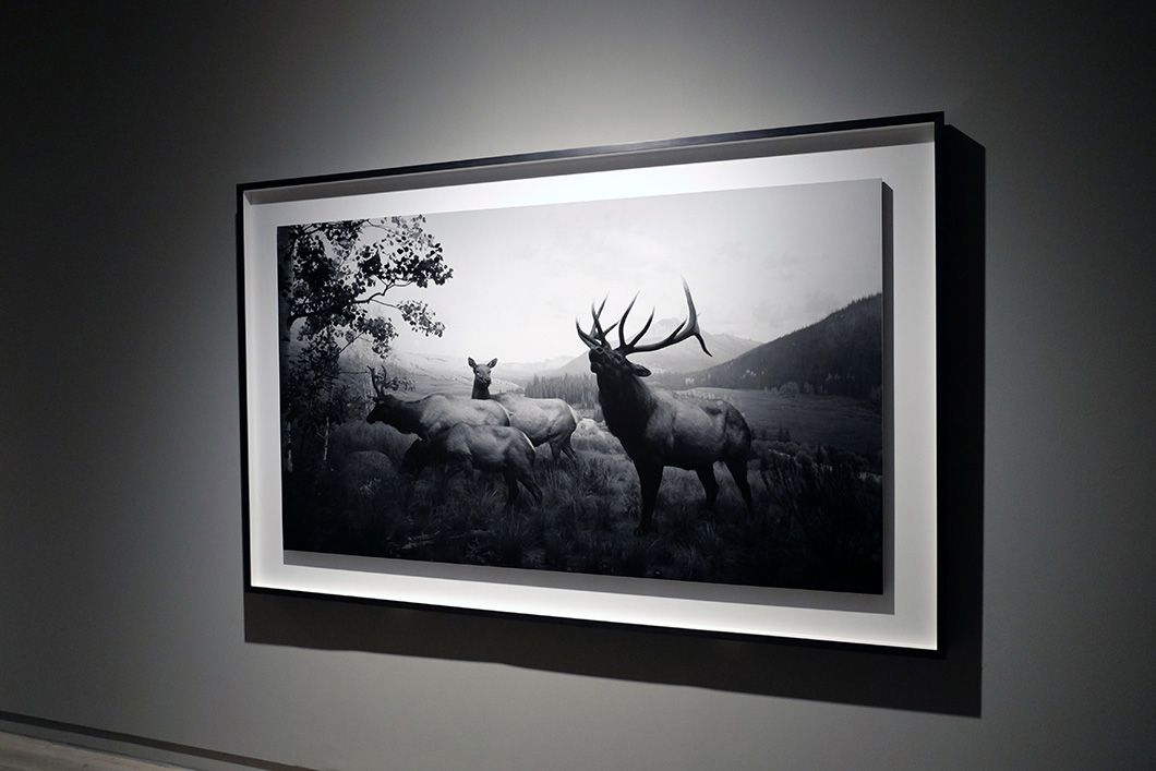 Hiroshi Sugimoto