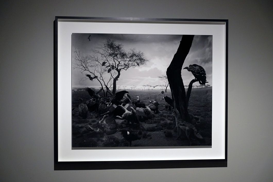 Hiroshi Sugimoto