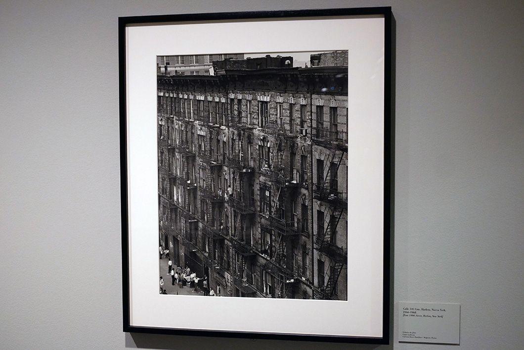 bruce davidson