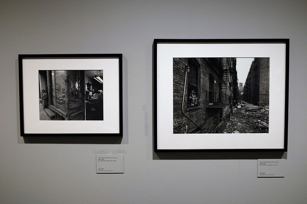 bruce davidson
