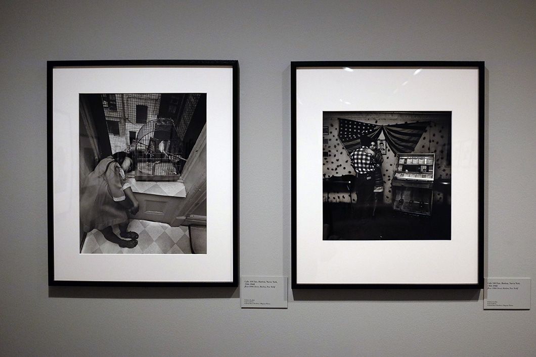 bruce davidson