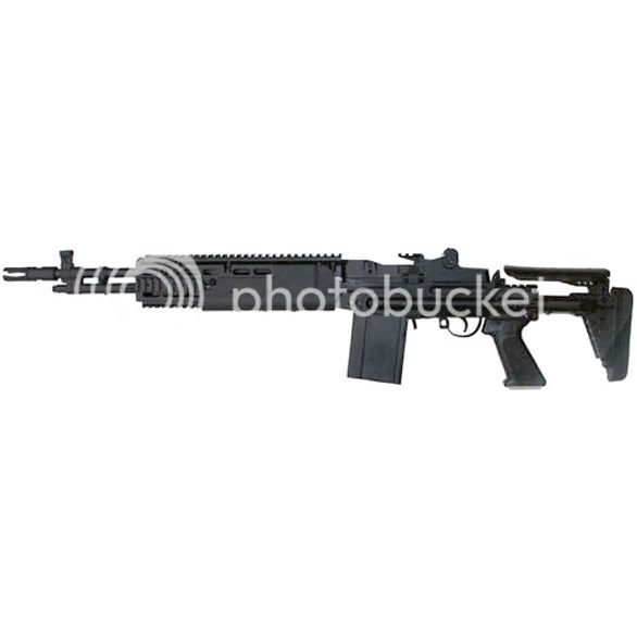 https://i168.photobucket.com/albums/u176/Swiss-Brad/M14EBR.jpg