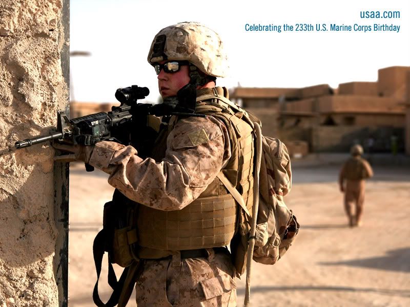 https://i168.photobucket.com/albums/u176/Swiss-Brad/USMarine2.jpg