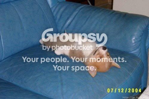 download10.jpg