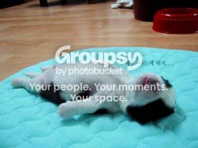 download6.jpg