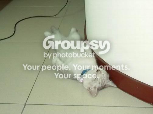 download8.jpg