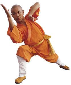 https://i168.photobucket.com/albums/u194/Fenix14_omgz/ShaolinMonk.jpg