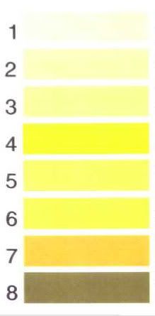 What does rust color urine mean – The Meaning Of Color